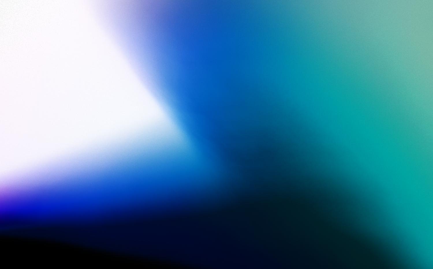 bfa exhibition 2021 zoe shields slide 7